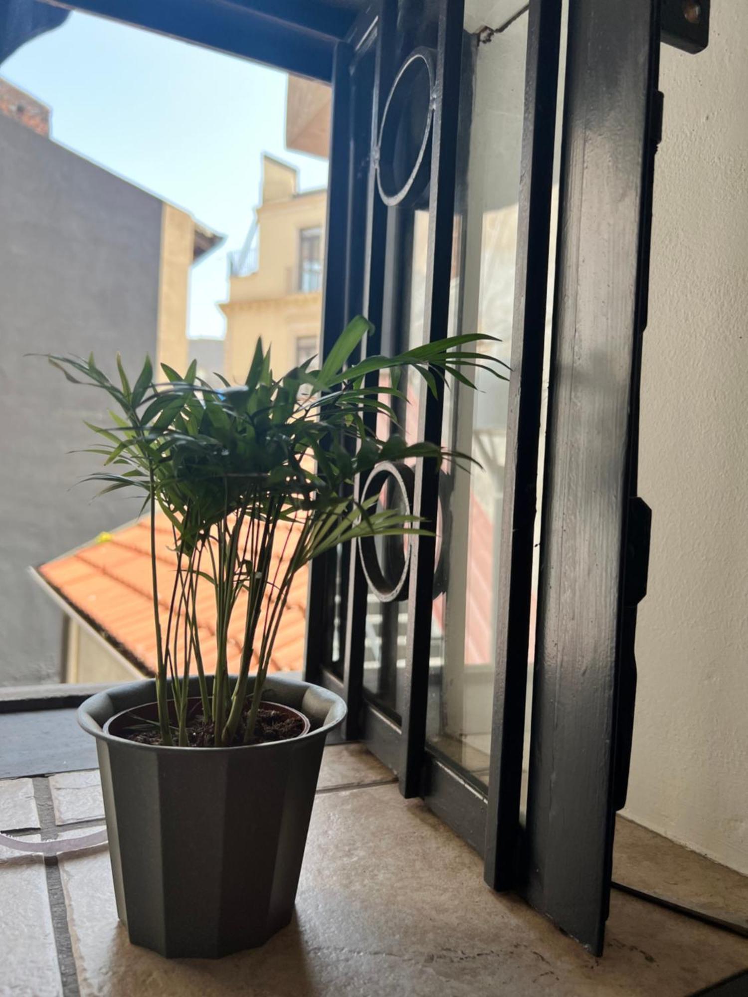 Catania,Sicilia,Italia Barcaioli'S Home Ngoại thất bức ảnh